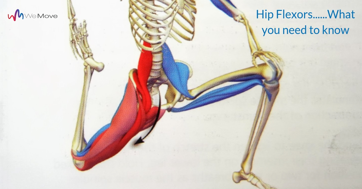 Hip Flexor Muscles List