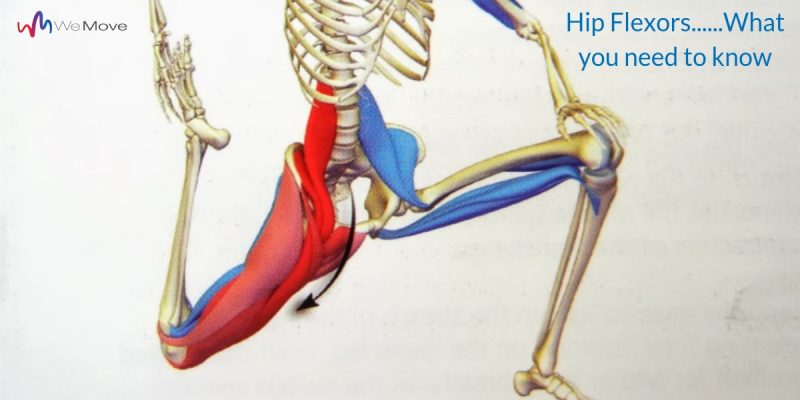 Hip Flexors...What you need to know